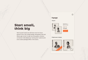 Third block of Tripandme Mobile App portfolio case study explaining how UI Design anticipates business requirements of future growth, can impact conversion rate and depicting UI Design of the App's first screen with extended functionality